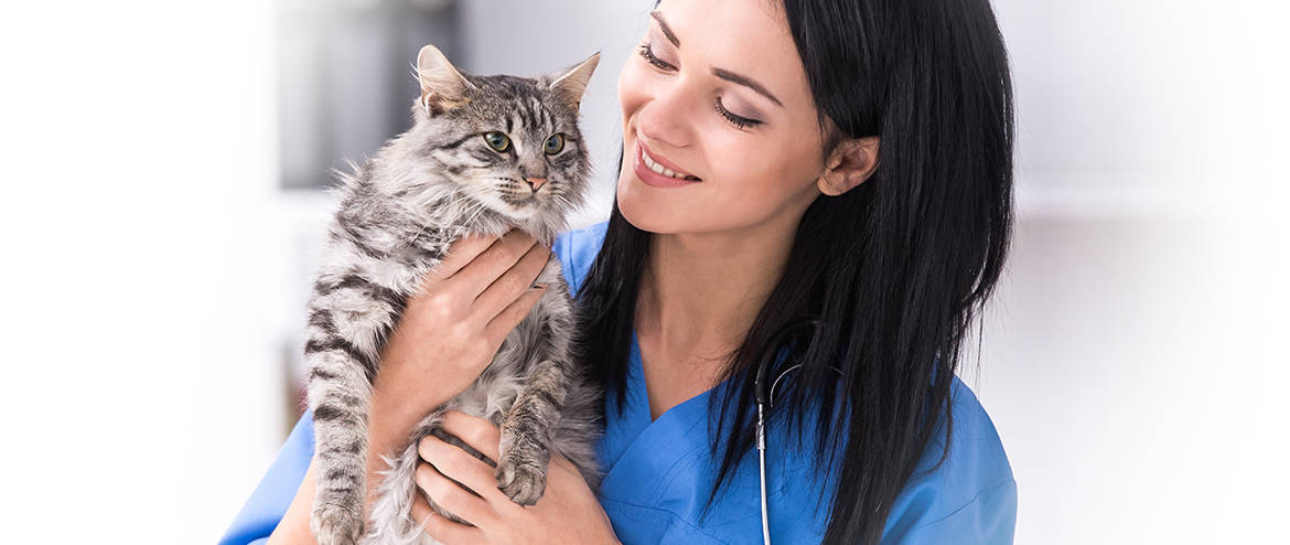 Blog-Photo-Vet-Clinics-Hospitals-2_2018-1170-x-494