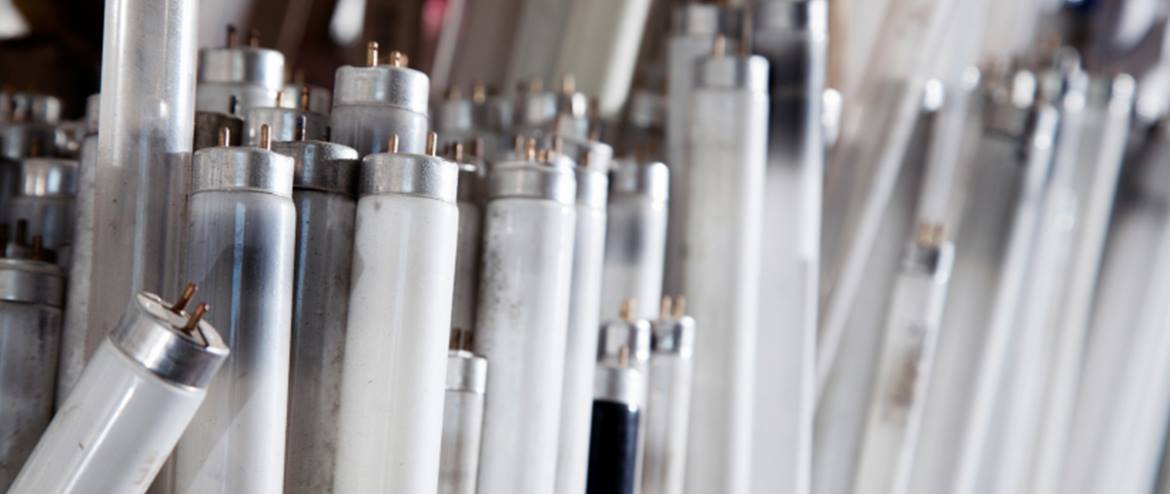 various light bulbs for universal waste