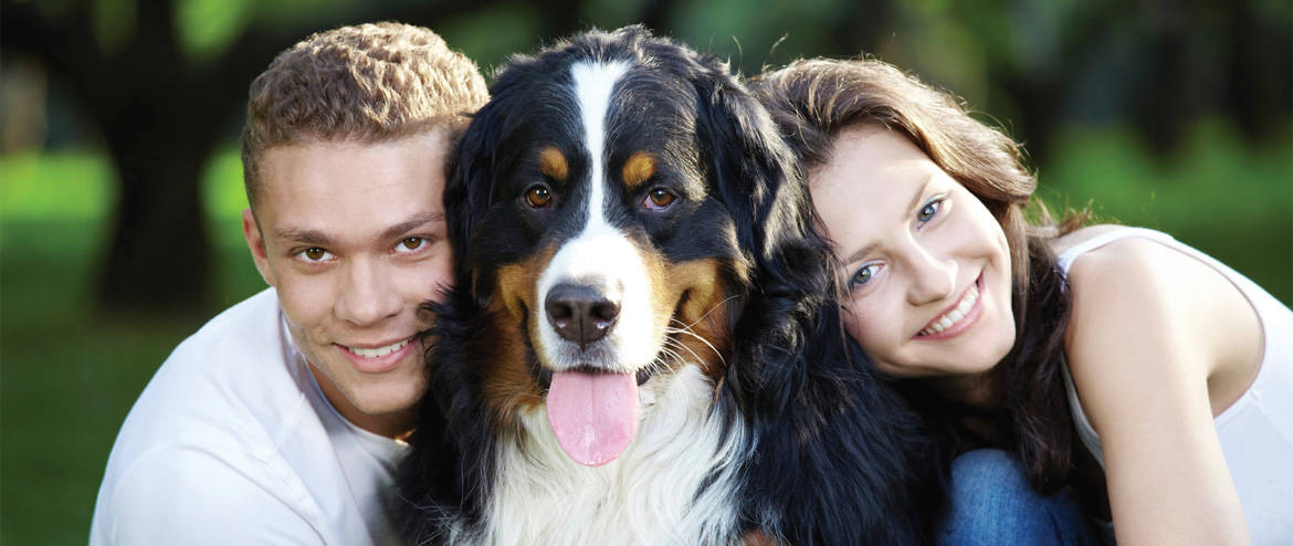 managing-pet-diabetes
